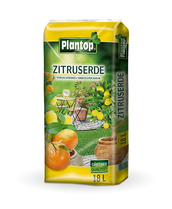 Plantop Zitruserde