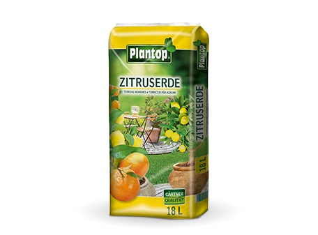 Plantop Zitruserde